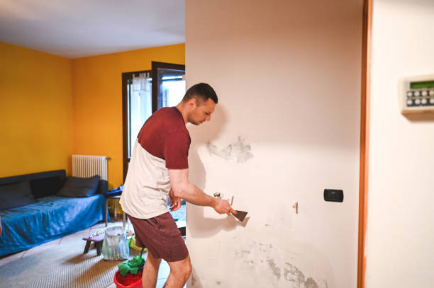 Best Mold Testing and Inspection Services in Oneonta, NY